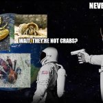 Dam you carcinization. | NEVER HAVE BEEN. WAIT, THEY'RE NOT CRABS? | image tagged in wait it's all | made w/ Imgflip meme maker