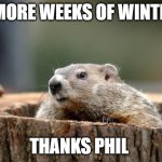 Groundhog | 6 MORE WEEKS OF WINTER! THANKS PHIL | image tagged in groundhog | made w/ Imgflip meme maker