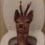 deer in toilet