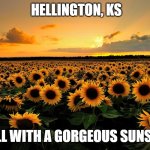 Field of Sunflowers | HELLINGTON, KS; HELL WITH A GORGEOUS SUNSET! | image tagged in field of sunflowers | made w/ Imgflip meme maker