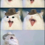 country cat singin