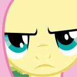 Fluttershy Not Amused (MLP)