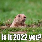 Punxsutawney Phil STILL in Covid quarantine, 2021 | Is it 2022 yet? | image tagged in punxsutawney phil | made w/ Imgflip meme maker