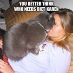 You say I’m fat?! | YOU BETTER THINK WHO NEEDS DIET, KAREN | image tagged in aggressive cat,fat,diet,karen,home,lockdown | made w/ Imgflip meme maker