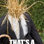 Strawman good golly that's a lot of straw