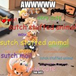 cute cute doge | AWWWWW; TOO CUTE | image tagged in awwwwwww,cute doge,doge,cute,there is no cute section or doge section / dog section | made w/ Imgflip meme maker