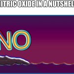 If you know, you know | NITRIC OXIDE IN A NUTSHELL | image tagged in bill wurtz no | made w/ Imgflip meme maker