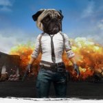 PUG G! | image tagged in pubg,pug,memes | made w/ Imgflip meme maker