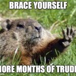 brace yourself 6 more months of Trudeau | BRACE YOURSELF; 6 MORE MONTHS OF TRUDEAU | image tagged in ground hog | made w/ Imgflip meme maker