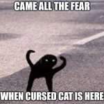 fear the cursed cat | CAME ALL THE FEAR; WHEN CURSED CAT IS HERE | image tagged in cursed cat | made w/ Imgflip meme maker