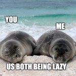 cute monk seal | ME; YOU; US BOTH BEING LAZY | image tagged in cute monk seal | made w/ Imgflip meme maker