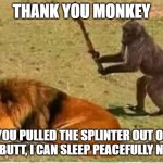 Thank you Monkey.... | THANK YOU MONKEY; YOU PULLED THE SPLINTER OUT OF MY BUTT, I CAN SLEEP PEACEFULLY NOW. | image tagged in monkey lion,thank you monkey,proctology today,be thankful,sleep tight lion | made w/ Imgflip meme maker