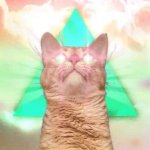 Triangle Cat GIF Template