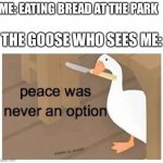 I’m so doomed today | THE GOOSE WHO SEES ME:; ME: EATING BREAD AT THE PARK | image tagged in funny,memes | made w/ Imgflip meme maker