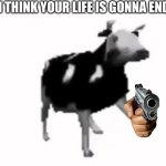 Polish Cow Holding gun