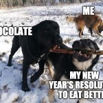 Dog with stick | ME; CHOCOLATE; MY NEW YEAR'S RESOLUTION TO EAT BETTER | image tagged in dog with stick | made w/ Imgflip meme maker