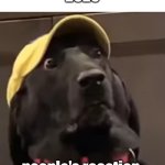 People's Reaction to the 2020s be like | 2020; people's reaction: | image tagged in a very concerned dog | made w/ Imgflip meme maker