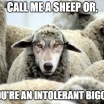 Trans-Sheep | CALL ME A SHEEP OR, YOU'RE AN INTOLERANT BIGOT! | image tagged in trans-sheep | made w/ Imgflip meme maker