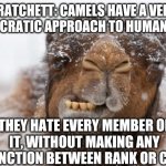 Terry Pratchett Camel quote | PRATCHETT: CAMELS HAVE A VERY DEMOCRATIC APPROACH TO HUMAN RACE; THEY HATE EVERY MEMBER OF IT, WITHOUT MAKING ANY DISTINCTION BETWEEN RANK OR CREED. | image tagged in camel,freezing cold,hump day camel,quote | made w/ Imgflip meme maker