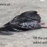 Pigeon will wait to find who asked.