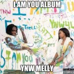 I AM YOU ALBUM BY YNW MELLY | I AM YOU ALBUM; YNW MELLY | image tagged in i am you album cover ynw melly | made w/ Imgflip meme maker