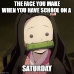 confusion | THE FACE YOU MAKE WHEN YOU HAVE SCHOOL ON A; SATURDAY | image tagged in a confused nezuko | made w/ Imgflip meme maker