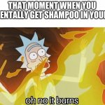well yes but acually yes | THAT MOMENT WHEN YOU ACCIDENTALLY GET SHAMPOO IN YOUR EYES | image tagged in oh no it burns rick and morty,memes,funny,shower,shampoo | made w/ Imgflip meme maker