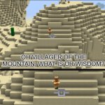 Oh villager of the mountain, what is your wisdom? meme