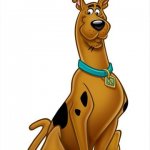 Scooby doo