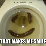 shit | THAT MAKES ME SMILE | image tagged in shit | made w/ Imgflip meme maker