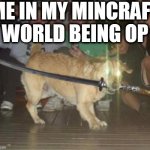 You dare oppose me mortal | ME IN MY MINCRAFT
WORLD BEING OP | image tagged in you dare oppose me mortal | made w/ Imgflip meme maker