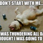 Dog afraid of thunder | DON'T START WITH ME... IT WAS THUNDERING ALL DAY I THOUGHT I WAS GOING TO DIE | image tagged in drunk dog | made w/ Imgflip meme maker