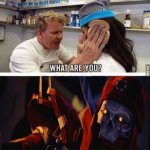 Idiot sandwich | image tagged in idiot sandwich | made w/ Imgflip meme maker