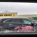 Black car with pink horse