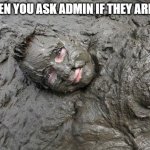mud | WHEN YOU ASK ADMIN IF THEY ARE OK | image tagged in mud | made w/ Imgflip meme maker