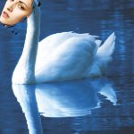 Bella swan meme