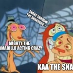 mighty the armadillo is CRAZY! | SNAKE SHADOW THE SNAKEHOG >; MIGHTY THE ARMADILLO ACTING CRAZY; KAA THE SNAKE | image tagged in ren and stimpy but first | made w/ Imgflip meme maker