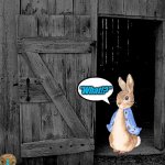 PETER RABBIT | "What!?" | image tagged in peter rabbit | made w/ Imgflip meme maker
