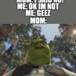 Uh oh | MOM: I SAID NO! ME: OK IM NOT; ME: GEEZ; MOM: | image tagged in shrek angry,screwed,mom,so you have chosen death | made w/ Imgflip meme maker