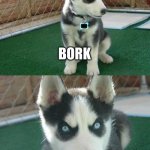 Insanity Puppy Meme | BORK BIRK ARF WOOF BORK BORK | image tagged in memes,insanity puppy | made w/ Imgflip meme maker