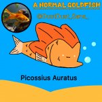 A Normal Goldfish (DustDust_Sans_) Announcement Template