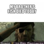 Press "F" to pay repects | MY BROTHER'S FISH DIED TODAY | image tagged in press f to pay repects | made w/ Imgflip meme maker