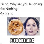 pita mellark | PITA MELLARK | image tagged in why are you laughing template | made w/ Imgflip meme maker