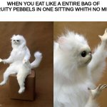 Persian Cat Room Guardian | WHEN YOU EAT LIKE A ENTIRE BAG OF FRUITY PEBBELS IN ONE SITTING WHITH NO MILK | image tagged in memes,persian cat room guardian | made w/ Imgflip meme maker