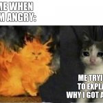 Angry Vs Sad | ME WHEN I'M ANGRY:; ME TRYING TO EXPLAIN WHY I GOT ANGRY: | image tagged in cat | made w/ Imgflip meme maker