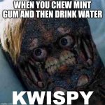 KWISPY | WHEN YOU CHEW MINT GUM AND THEN DRINK WATER | image tagged in kwispy | made w/ Imgflip meme maker