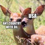 Deer licking neck | USA; ANY COUNTRY WITH OIL | image tagged in deer licking neck | made w/ Imgflip meme maker