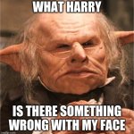 harry potter goblin | WHAT HARRY; IS THERE SOMETHING WRONG WITH MY FACE | image tagged in harry potter goblin | made w/ Imgflip meme maker