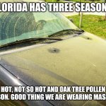 Florida, Pollen, Seasons | FLORIDA HAS THREE SEASONS; HOT, NOT SO HOT AND OAK TREE POLLEN SEASON. GOOD THING WE ARE WEARING MASK 😷 | image tagged in pollen covered car | made w/ Imgflip meme maker