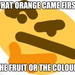 HMMMMMMMMMMM | WHAT ORANGE CAME FIRST; THE FRUIT OR THE COLOUR | image tagged in thonk,orange | made w/ Imgflip meme maker